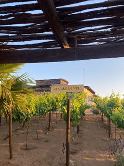 Cuatro Lunas Hotel Boutique, Valle de Guadalupe, Мексика