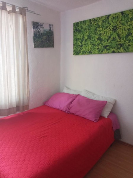 Casita del Árbol, Mexico City, Mexico