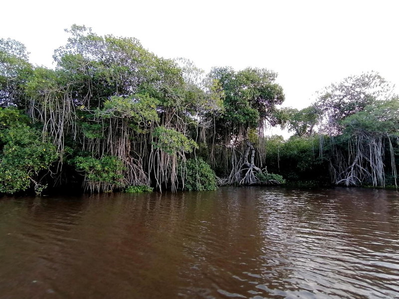 Don Luis Hostal - Sucursal Galeana - Tecolutla, Tecolutla, Mexico