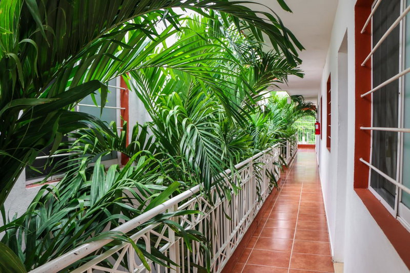 Gayser Apartamentos, Valladolid, Мексика
