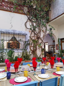 El Diablo y la Sandia B&B, Oaxaca City, Mexico