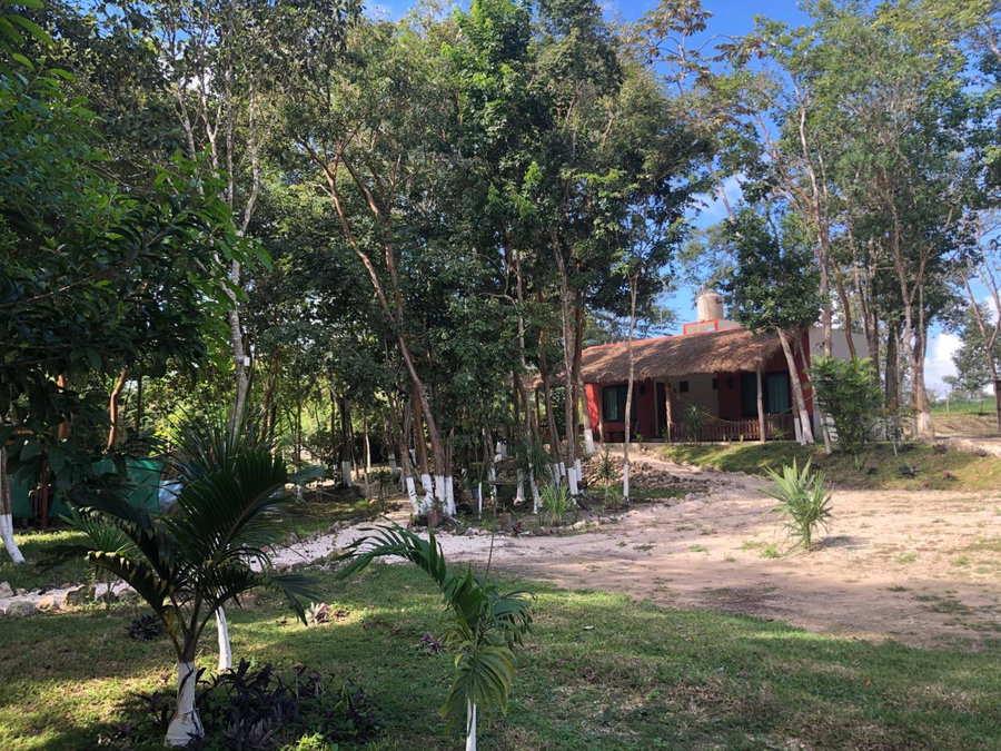 Hotel "Casa Las Lolas", Xpujil, Mexico