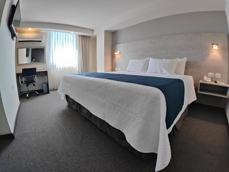 Kasa Hotel & Suites, Irapuato, Mexique