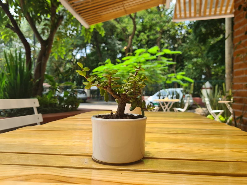 Sisao Hotel-Café, Cuernavaca, Mexique