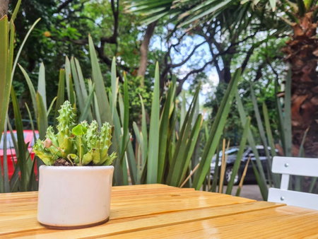 Sisao Hotel-Café, Cuernavaca, Mexique