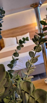 La Posada Hotel & Suites, San Luis Potosi, México