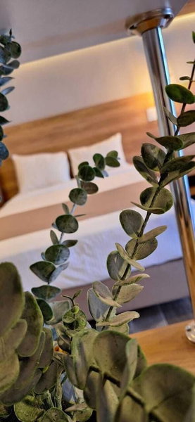 La Posada Hotel & Suites, San Luis Potosi, México