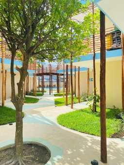 Luna Azul by Uvas, Cozumel, Mexico