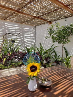 Casa Palo Verde, Cabo San Lucas, Mexico