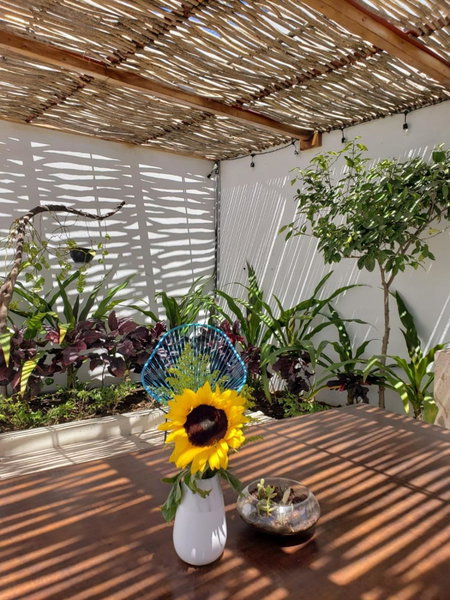 Casa Palo Verde, Cabo San Lucas, Mexico
