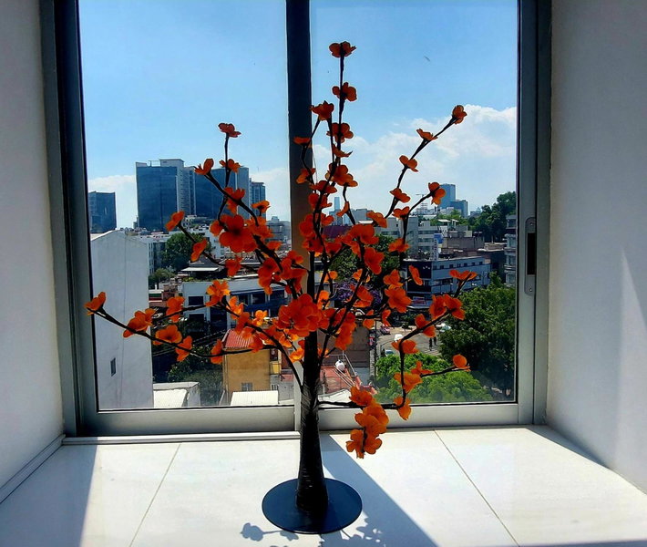 Hotel Boutique Dawat WTC, Mexico City, Mexico