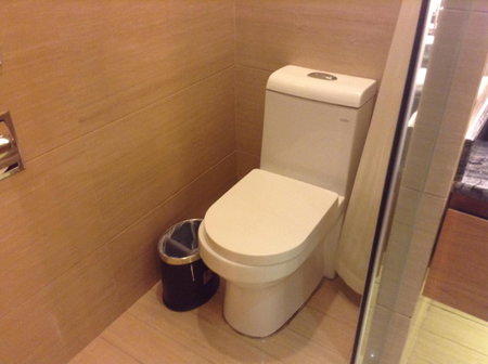 Shenzhen Shuidu Holiday Hotel, North Railway Station, Shenzhen, 中国