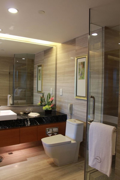 Grand Skylight International Hotel Shenzhen Guanlan, Near Metro Station, Huawei, Foxcnn, Shenzhen North Railway, Shenzhen, 中国