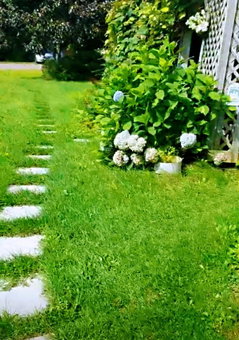 Lily's garden, Charlottetown, Kanada