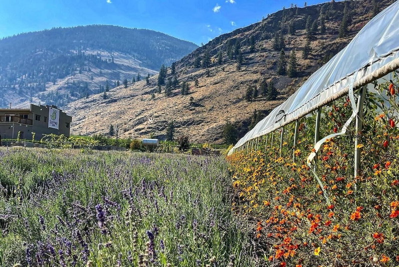 Tree To Me Inn, Keremeos, Canada