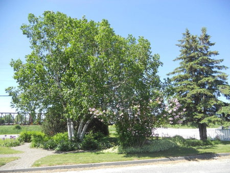 Motel Normandie, Louiseville, Canada