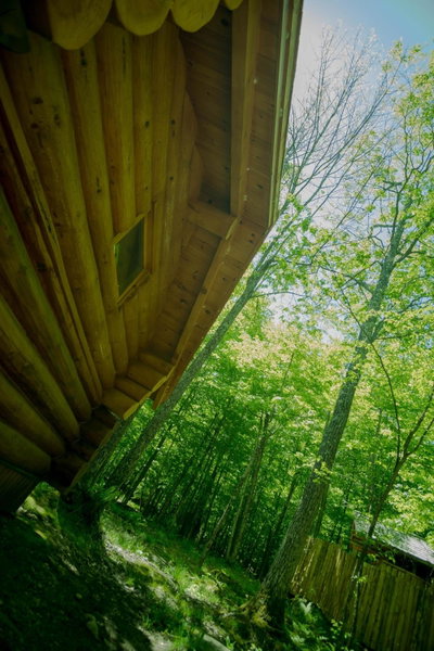 Parc Omega, Montebello, Canada