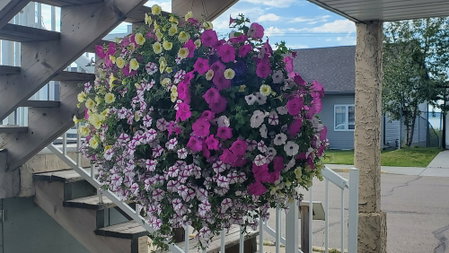 Shoreside Inn & Suites, Wabamun, Canada
