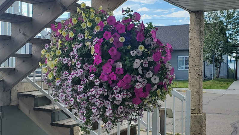 Shoreside Inn & Suites, Wabamun, Canada