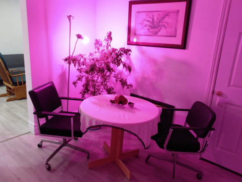 Healing Touch Holistic Living Space, Amherst, Canada