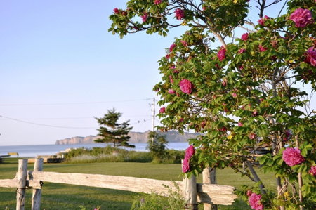 Motel du Haut Phare, Cap-des-Rosiers, Canada