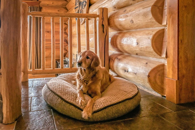 Spirit Lodge at Silverstar, Vernon, Canada