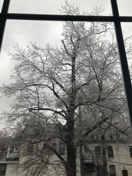 Pring Guesthouse, Hamilton, Canada