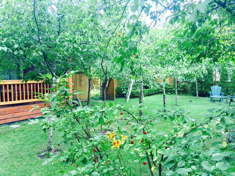 Luna Bed & Breakfast, Grand Forks, Canada