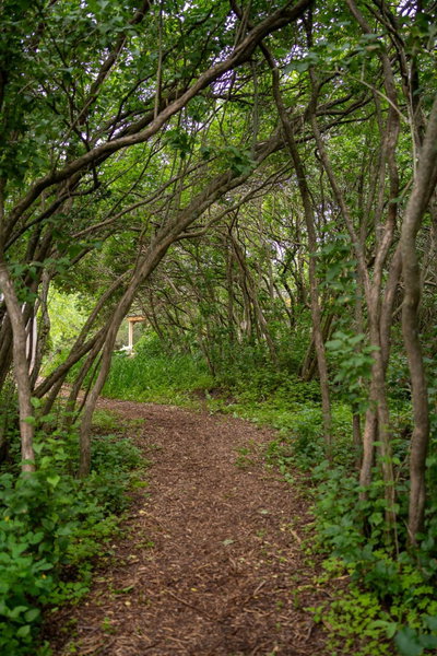 Owl's Nest Suites, Carrying Place, Kanada