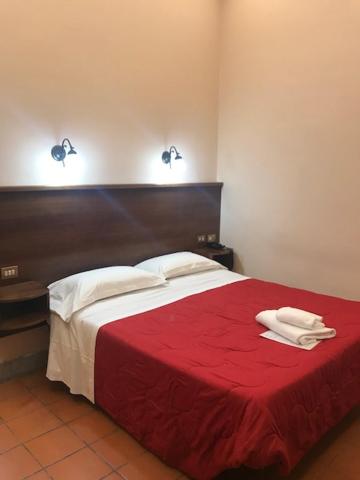 Hotel Panda, Rome, Italy