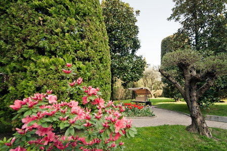 Hotel Terme Antoniano, Montegrotto Terme, Italy