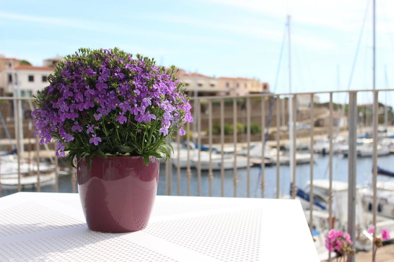 103 Boutique Hotel Stintino, Porto Torres, Italy