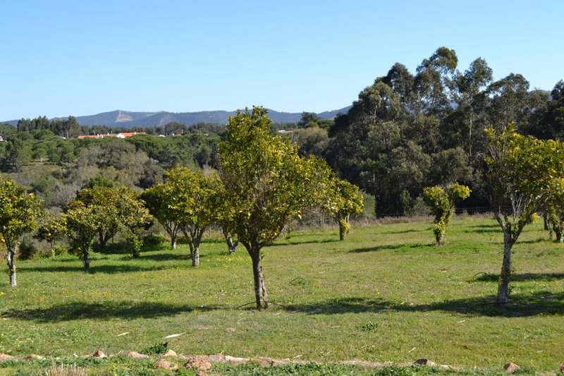 Herdade Do Freixial - Turismo Rural, Vila Nova de Milfontes, Portugal