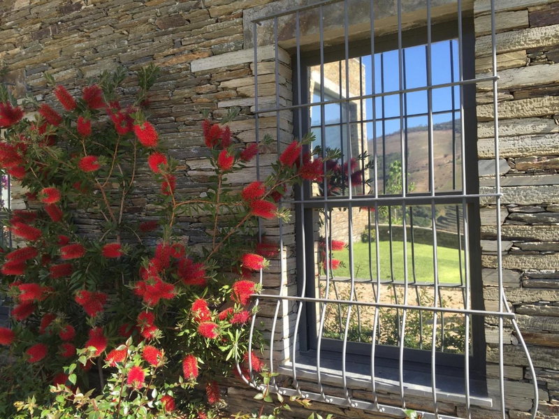 Quinta Da Marka, Covas do Douro, Португалия