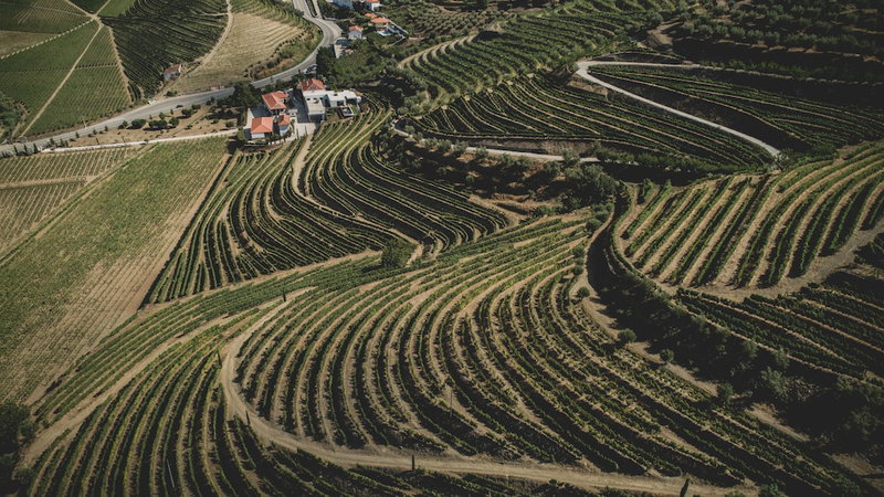 Casal dos Capelinhos - Quinta Nova, Vila Real, Portugal