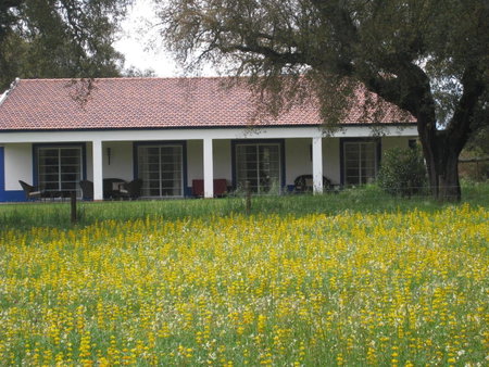 Monte das Faias Cork Farm Hotel, Grândola, Portugal