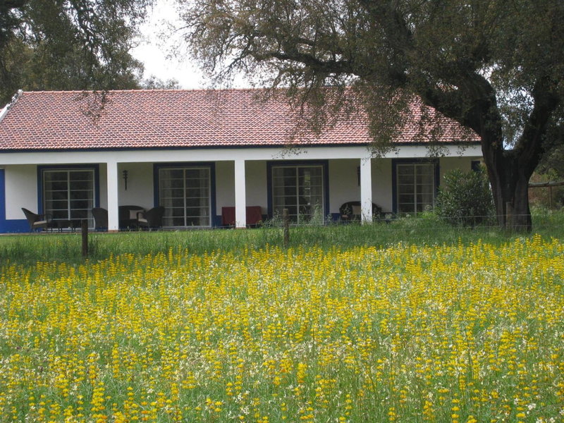 Monte das Faias Cork Farm Hotel, Grândola, Portugal