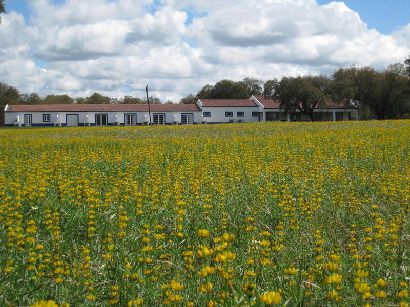 Monte das Faias Cork Farm Hotel, Grândola, Portugal