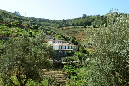 DouroXisto, Peso da Régua, Portugal