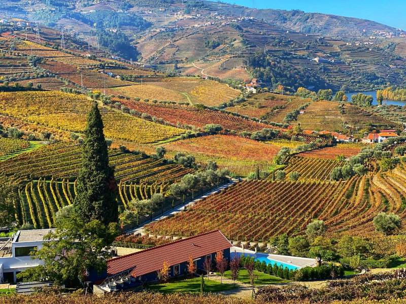 Quinta da Salada - Turismo Rural, Lamego, Portugal