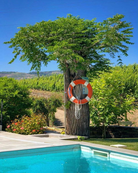 Quinta da Salada - Turismo Rural, Lamego, Portugal