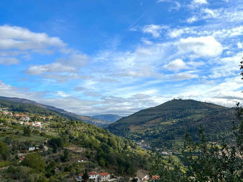 Private Douro- Quinta das Susandas, Mesão Frio, Portugal
