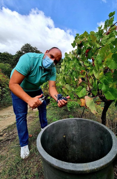 Private Douro- Quinta das Susandas, Mesão Frio, Portugal