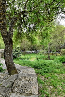 Quinta Do Moinho Turismo de Natureza, Guarda, Portugal