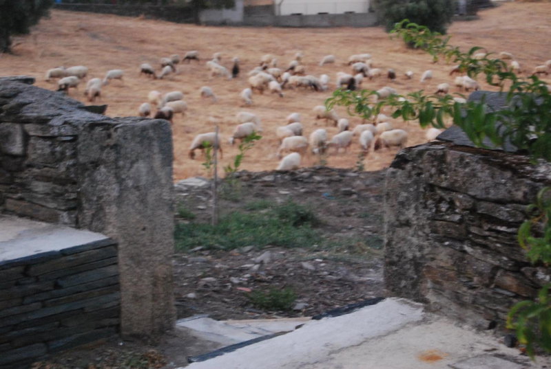 Casa dos Primos, Muxagata, Portugal