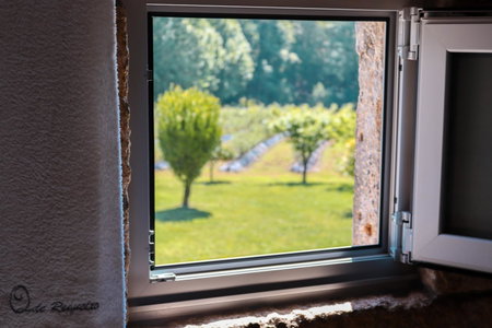 Quinta de Requeixo, Guimarães, Portugal