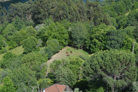 Casa São Bernardo de Claraval, Geres, Portugal