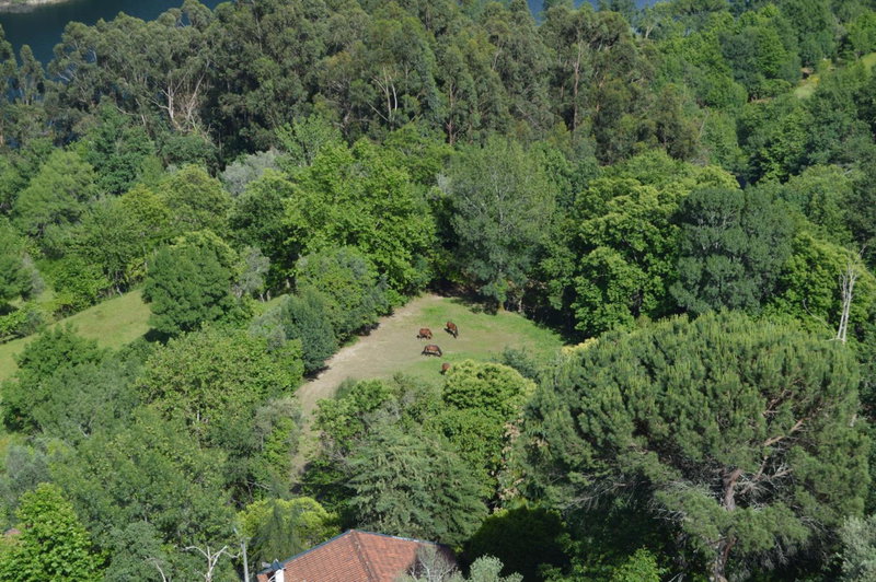 Casa São Bernardo de Claraval, Geres, Portugal