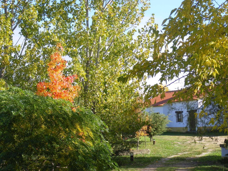 Quinta dos Trevos - Artes e Ofícios, Castelo Branco, Portugal