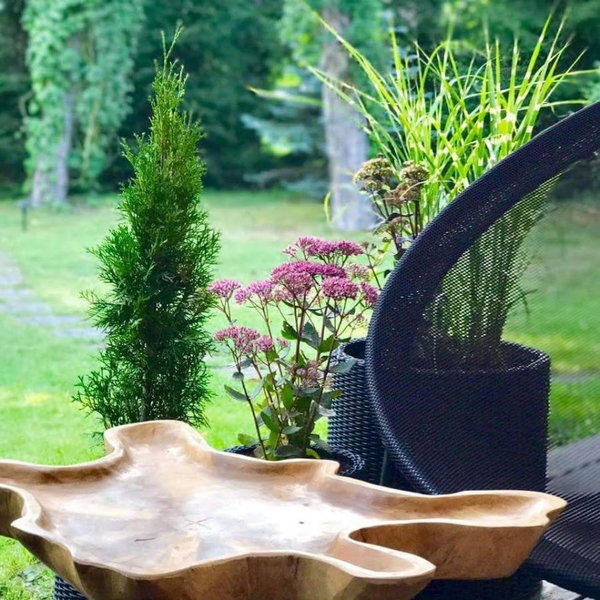 Leśny Dworek, Wyszków, Polen
